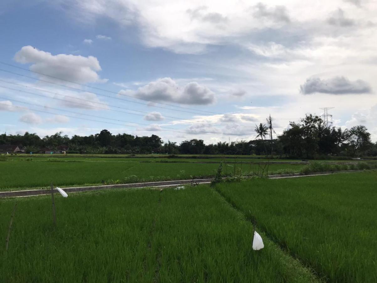 Legiyem Homestay Yogyakarta Eksteriør billede